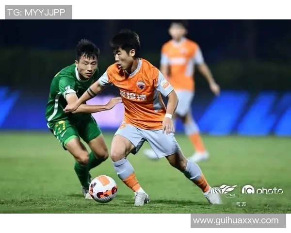 杭州飞盘队边路渗透战术分析及其在比赛中的成效与不足之处